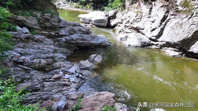 夏末秋初送清凉，来自黑河国家森林公园的惊喜等你查收~