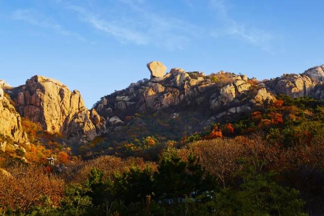 答应我，这个秋天一定要来日照！