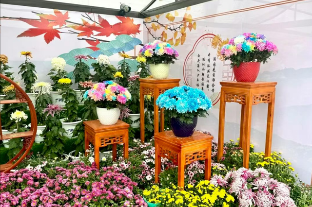 亮点来了！跟着这篇文旅指南打卡开封！