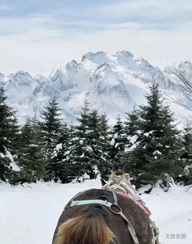 等一场雪，念一座城！安图雪岭的冬日邀约