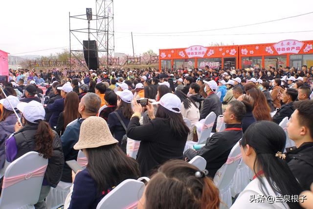 醉美桃花源启幕 秦安共赴春日盛宴