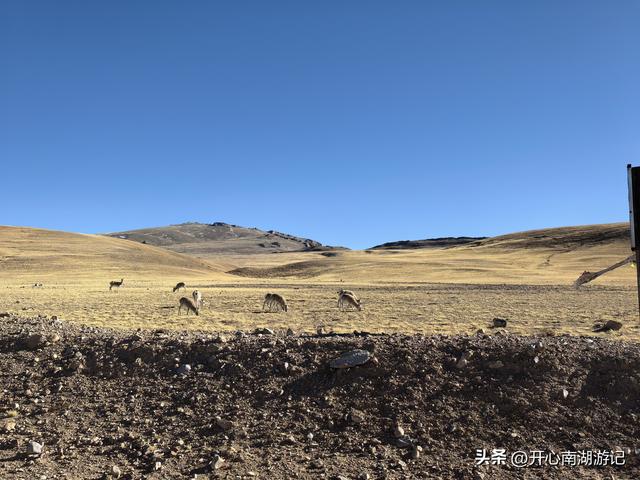 喀什经317到成都，尼玛-班戈，途经达则措、恰规措、色林措