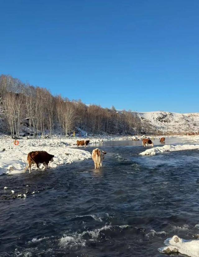 《疯狂动物城》之冰川镇竟撞脸呼伦湖！
