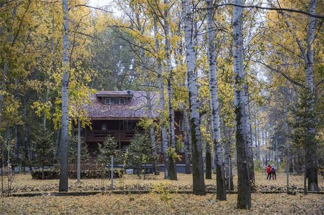 东北这条封神边境路，接下来1个月绚烂如画，串联中国最极致的秋