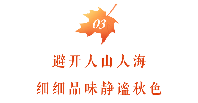 松坪沟的秋天，把油画里的颜色都搬来了