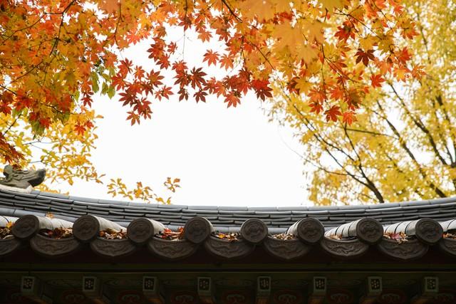 女性取名灵感，“李”姓女士微信、抖音号昵称推荐，好记又有范