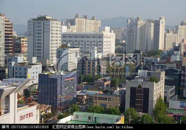 大川至首尔：海外一场跨越山海的逐梦之旅