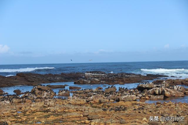 南部非洲：南非好旺角