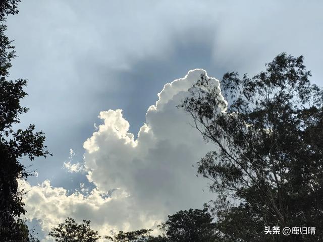 深圳马峦山看瀑布攻略（夏天避暑必去榜）