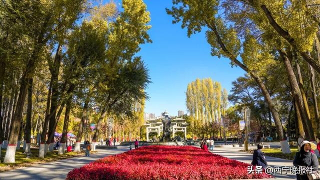 西宁发布八条秋季精品旅游线路
