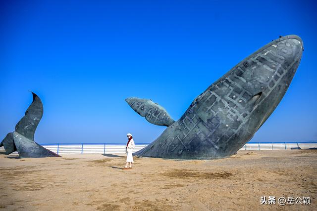 瞰齐鲁 | 橘海沉璧，山海含章，冬日烟台，浪漫传说……