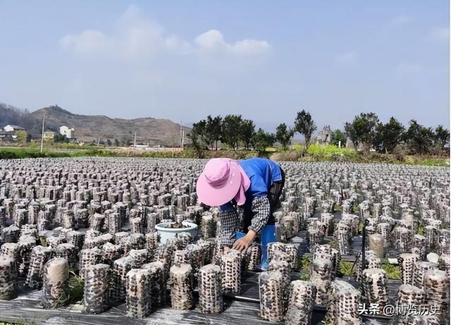 广西与贵州交界处的神奇村落，女性衣着开放，至今还保留母系社会