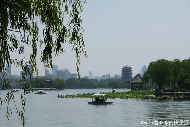 又一批“济南寻美客”出炉！欢迎你也来将济南的美定格