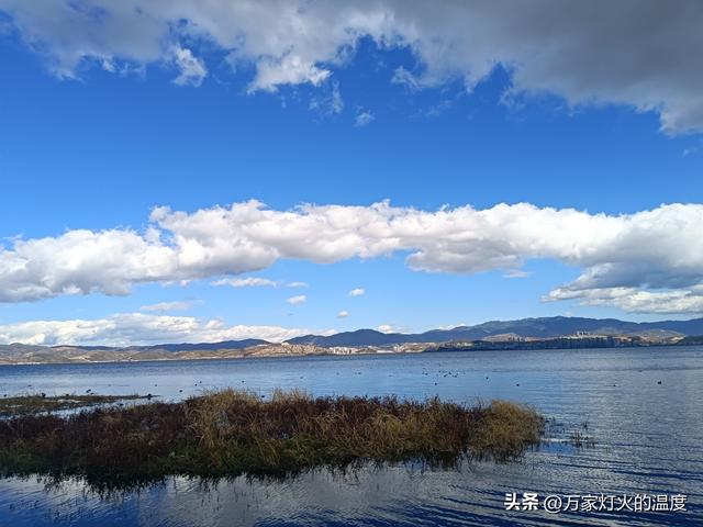 查理·芒格：瞎努力的人，最后都进了那80%的坑里