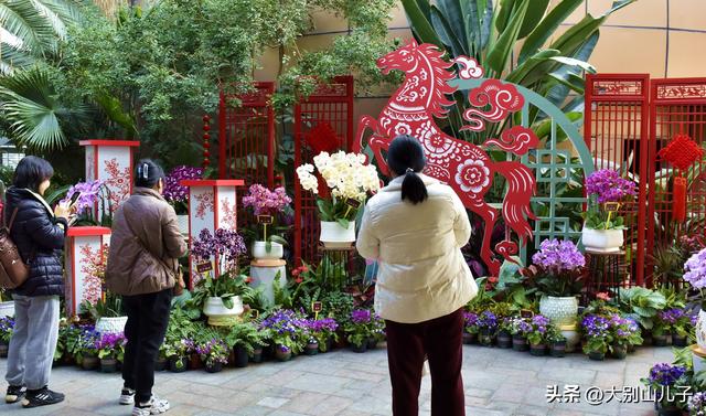植物园迎春花展免费开放