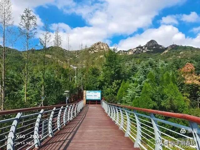 浮山漫记：藏在青岛城央的自然诗篇｜申艳娟