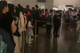 国博“九龙九凤冠”成顶流，有游客排队一小时只为一睹真容，整冠共镶嵌115颗宝石4414颗珍珠图片