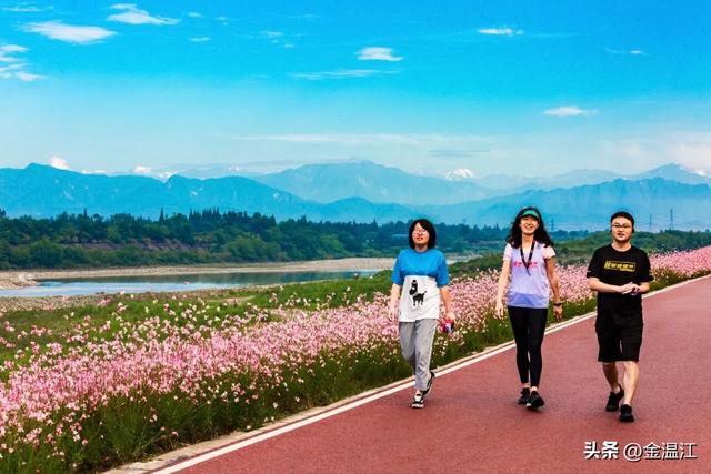 观山鲁家滩、寻幽北林绿道！来温江邂逅“诗和远方”→