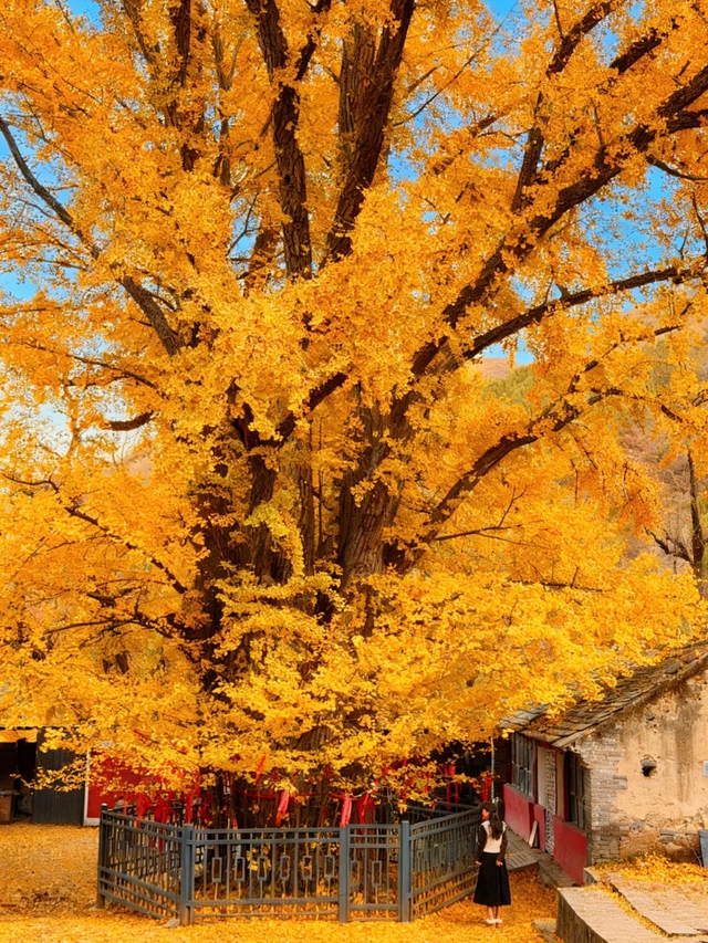 京郊徒步好去处，1.5h登顶看山水看火车，全程免费！