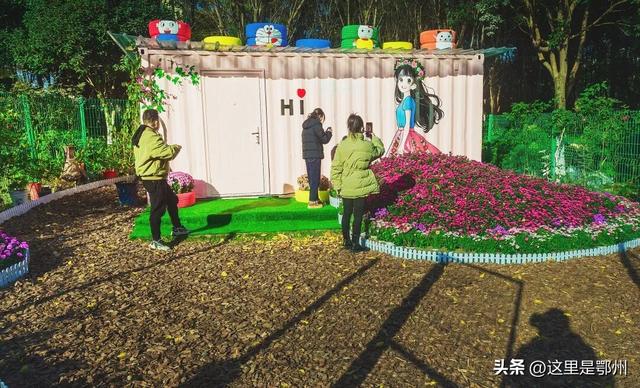 鄂州首个集装箱“网红”打卡点来啦