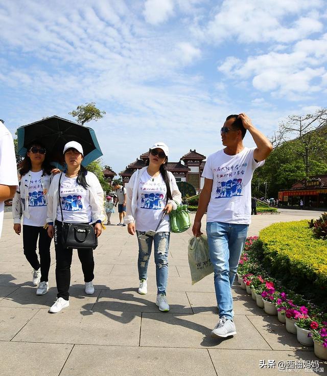 研学项目四大核心弊端与避坑指南：让每一分钱都花在刀刃上
