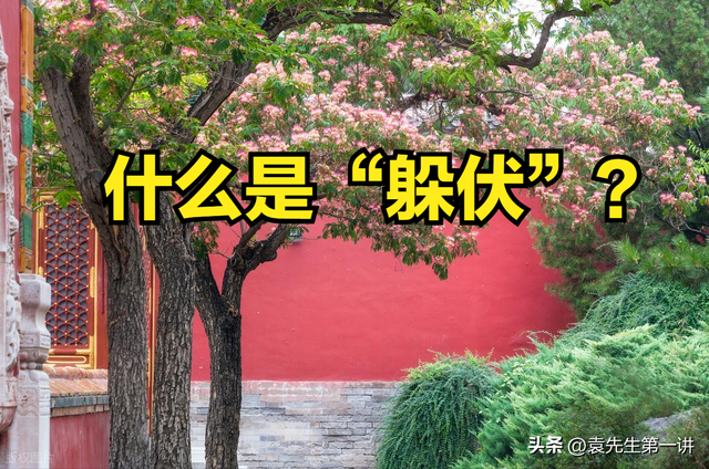“入伏要躲伏，不能床上躺”，明日入伏，该如何“躲伏”？早了解