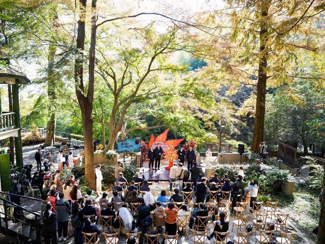 在红枫季，品味莫干山的绝代“枫”华