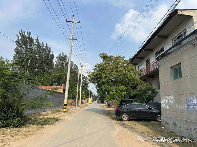 冠县乡韵·辛集镇丁刘八寨