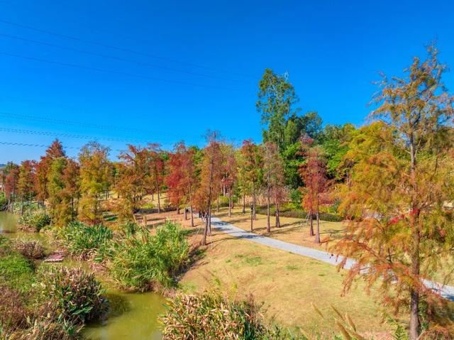 看！是金黄色的光明！