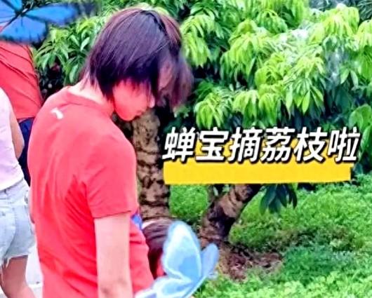 陈芋汐妈妈说对了！全红婵近况曝光，复出训练状态好，网友劝退役