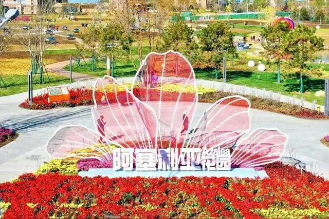 初秋赏花正当时,龙江绝美花海等你打卡!
