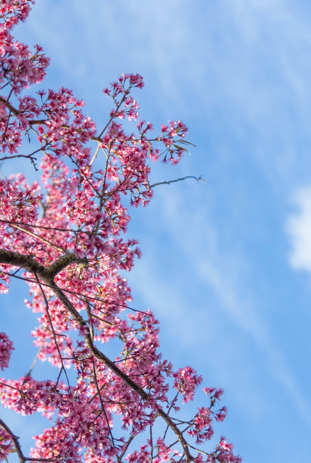 普洱，不止四季！🥰