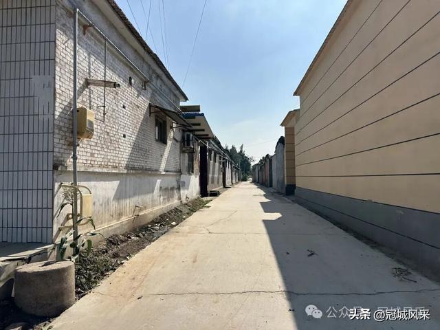 冠县乡韵·兰沃乡大柳邵村