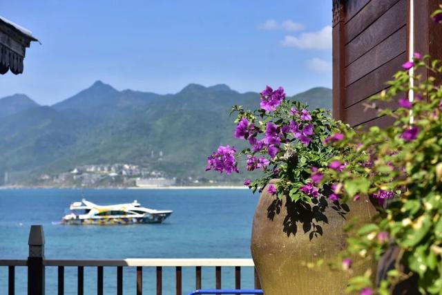 分界洲岛错峰游 | 摸鱼、玩海玩到飞起～