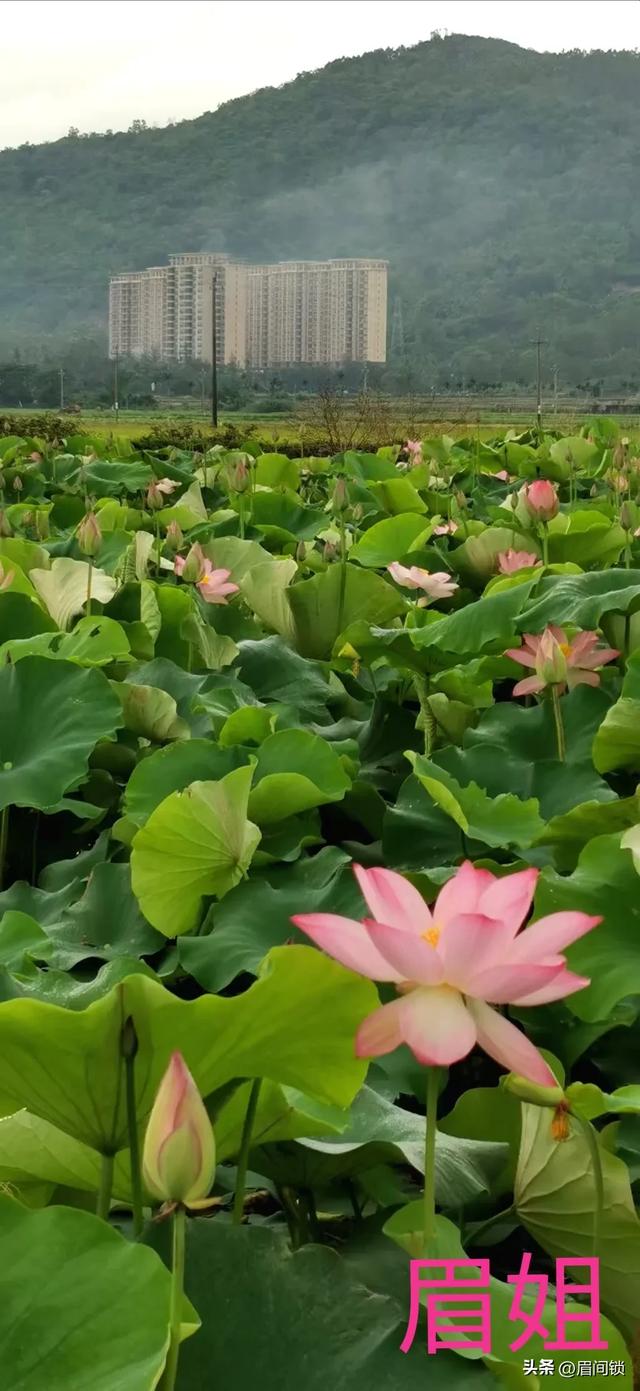 美到不想走，神仙般的生活，值得你来感受！