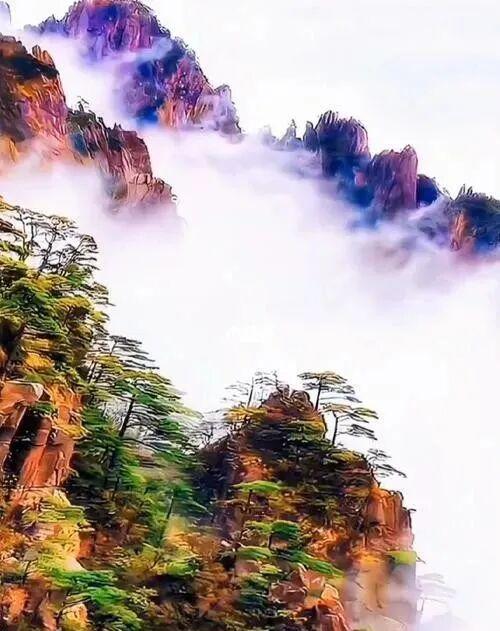 云海日出奇观，仙境里的黄山，太美了！