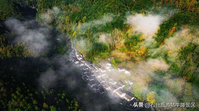 春风如约至，醉美牯牛降