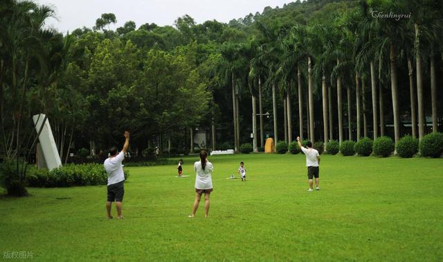带娃出门只会玩手机？3 个户外亲子游戏，用树叶、石头就能玩