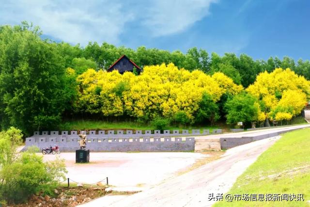 拉哈山的夏天