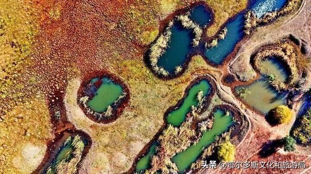 内蒙古杭锦旗：湿地秋景惹人醉