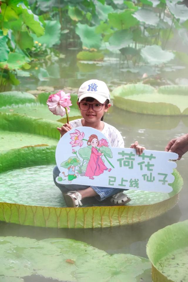 柳东奇遇记② | 探寻绿野仙踪，打卡宝藏生态画卷