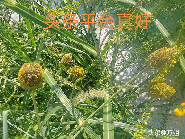 两性交往，要想刺激女人的荷尔蒙，只需记住这6点，绝对让她动心