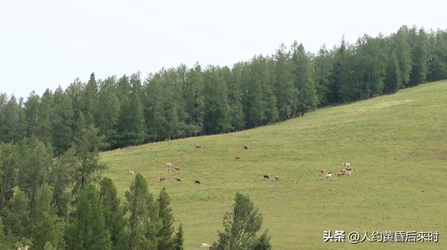 跑了一天阿禾公路，再次取消赛里木湖行程。