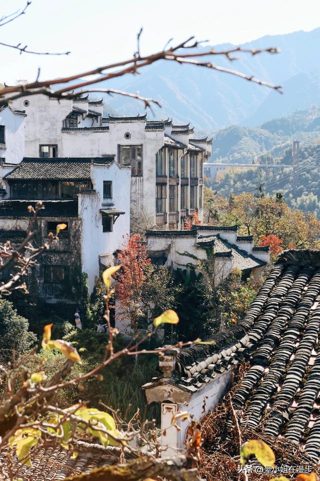 秋色浓、叠彩韵、檐下晒秋图，这可能是国内最美的秋天