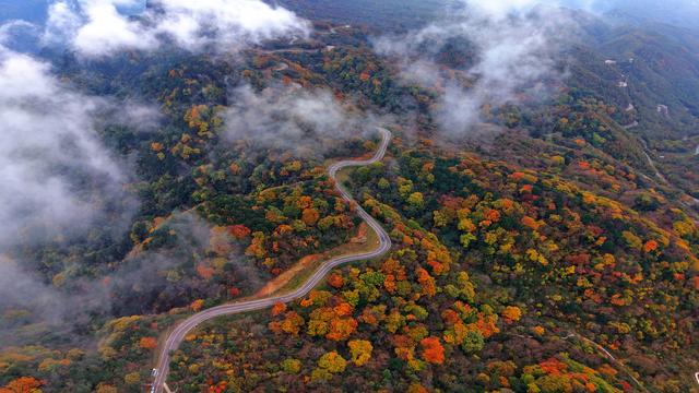 昨日实拍！层林尽染盐井峡，漫山红叶醉秋风，观赏正当时