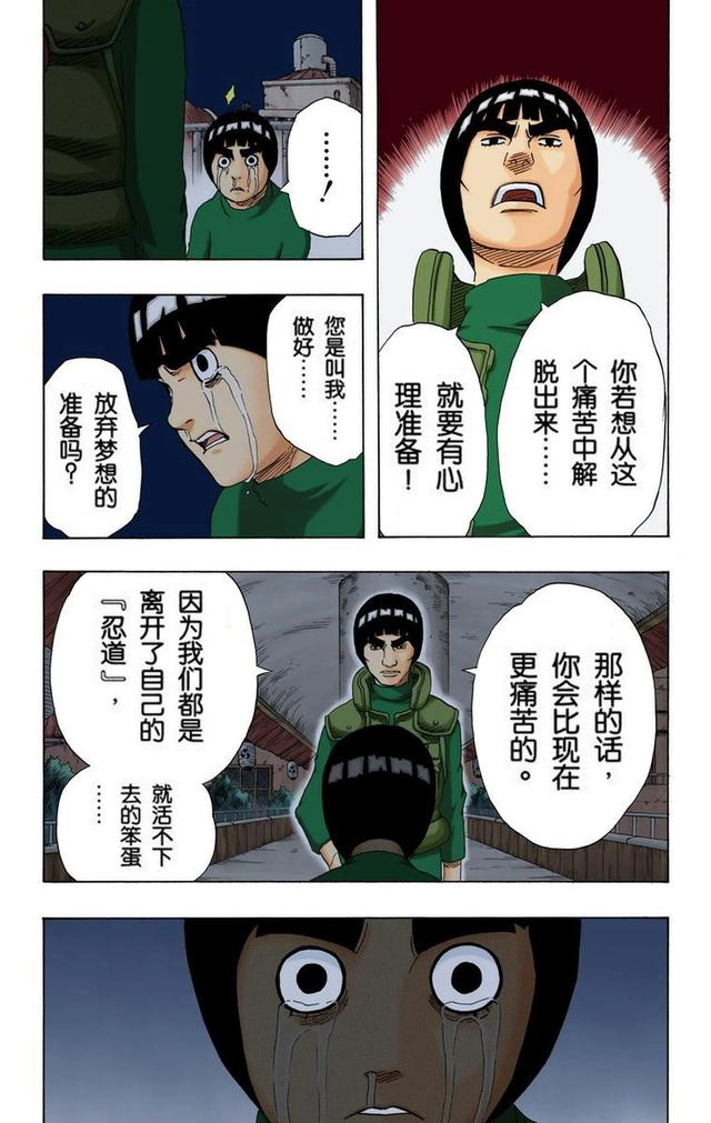 火影忍者彩漫 第二十卷 第五代火影纲手，鸣人佐助天台对决