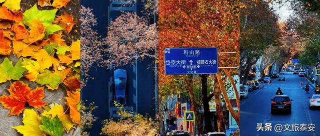 Citywalk街拍点+1!解锁泰安过冬究极浪漫,这条路也许离你不远~