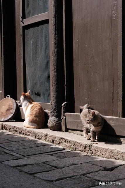 寻梦江南：不可错过的苏州十大古镇