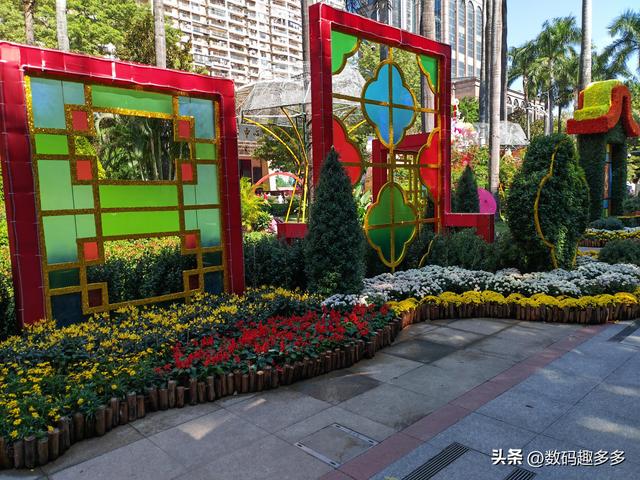 广州66届羊城菊花展，快来看打卡攻略