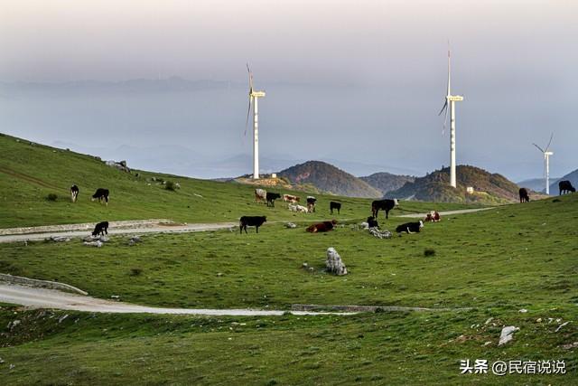 武汉太热，暑假“有闲”去咸宁避暑！